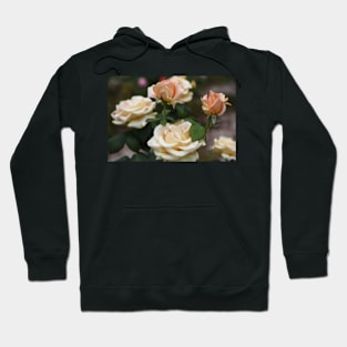 Stages of Rose Hoodie